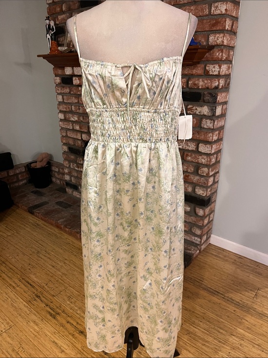 Astr Dresses & Skirts - Astr NWOT $109 Sleeveless Florale Midi Dress in Cream and Light Green